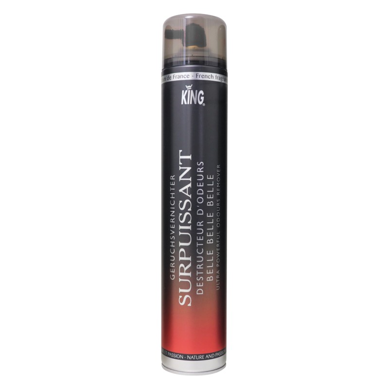 Extrem starker Geruchskiller (kräftiger Sprühstrahl) - Belle Belle Belle - King - 750-ml-Spraydose